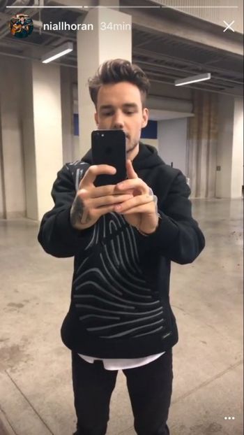 large (2) - liam payne