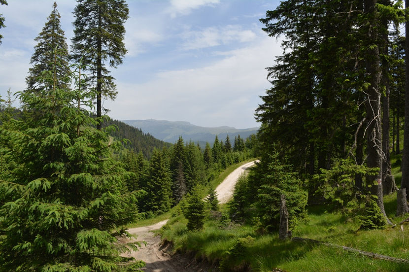 frumoasa - 6 - Diverse