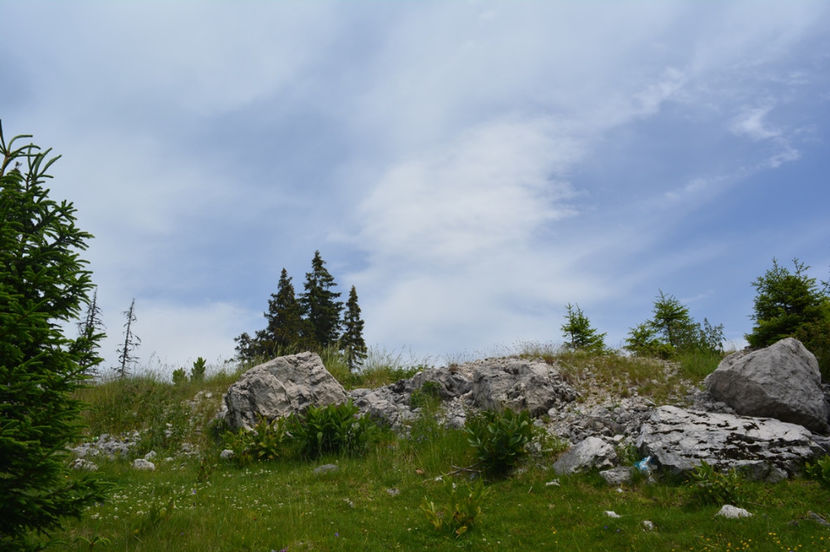 cu ale ei - 6 - Diverse