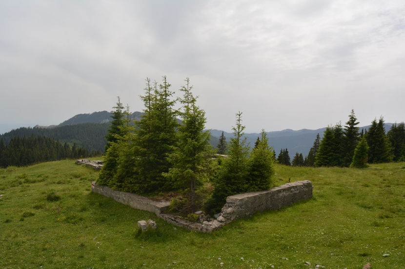 natura cuceritoare - 6 - Diverse