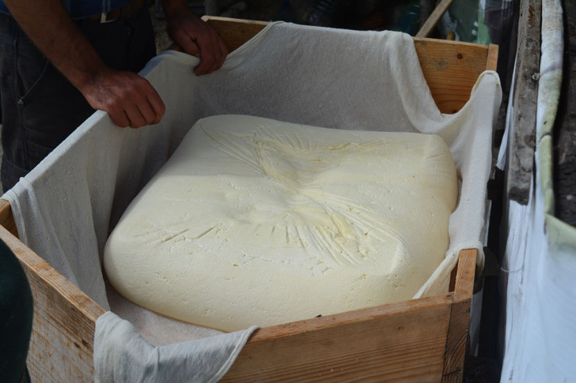 branza noastra romaneasca - 6 - Diverse