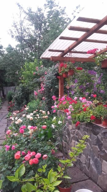  - 2017 gradina