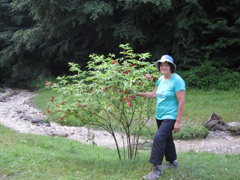  - Parcul National Piatra Craiului
