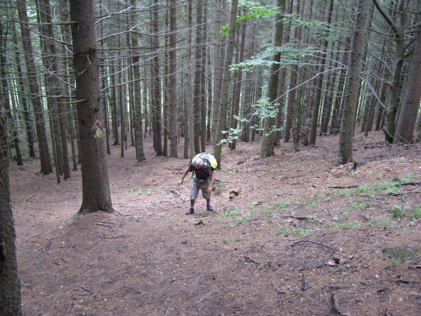  - Parcul National Piatra Craiului