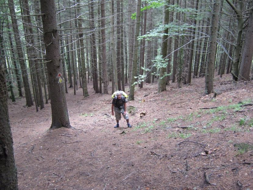  - Parcul National Piatra Craiului