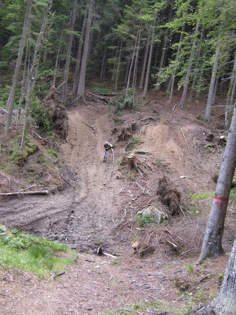  - Parcul National Piatra Craiului