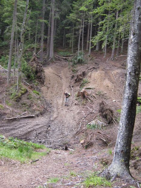  - Parcul National Piatra Craiului