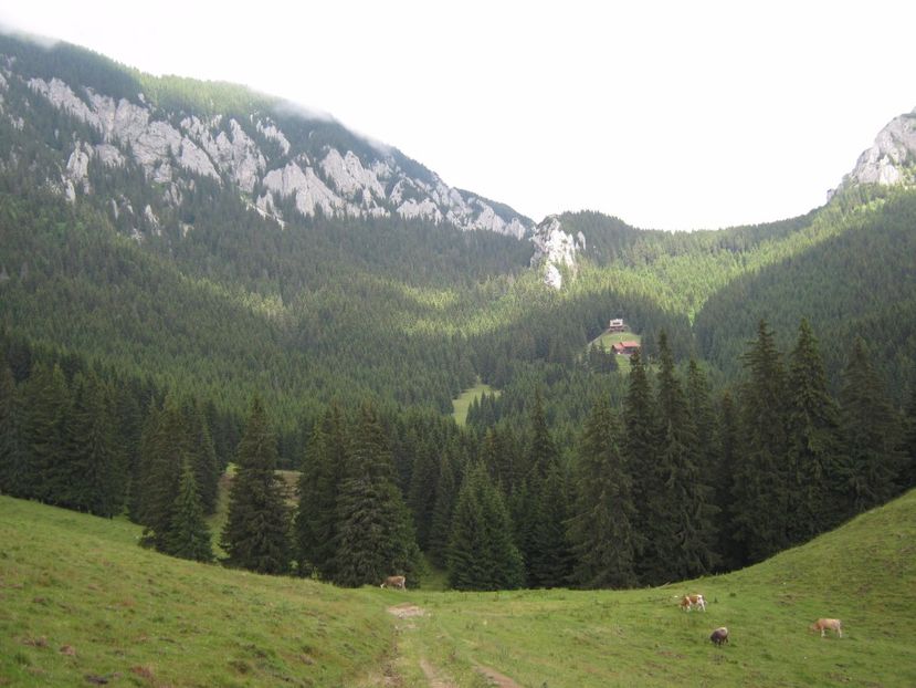  - Parcul National Piatra Craiului