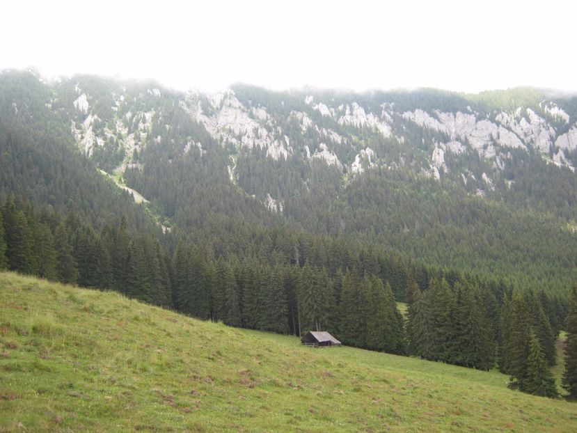  - Parcul National Piatra Craiului