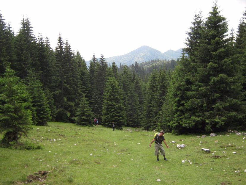  - Parcul National Piatra Craiului