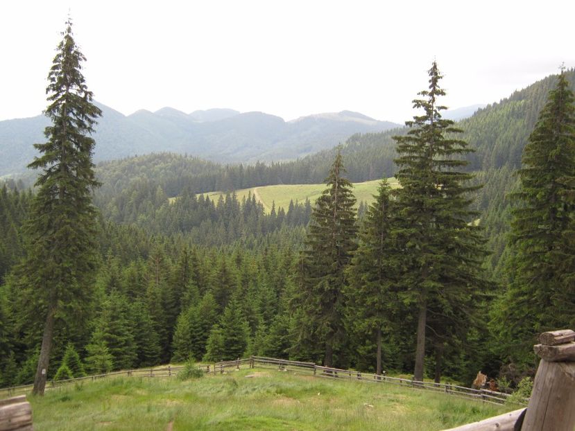  - Parcul National Piatra Craiului