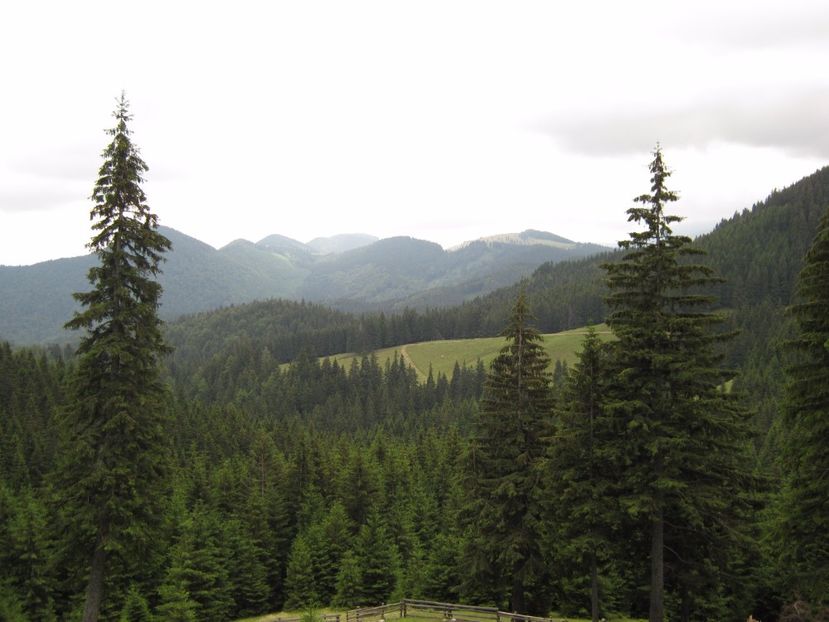  - Parcul National Piatra Craiului