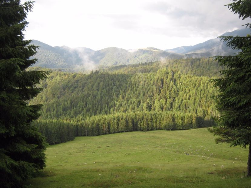  - Parcul National Piatra Craiului
