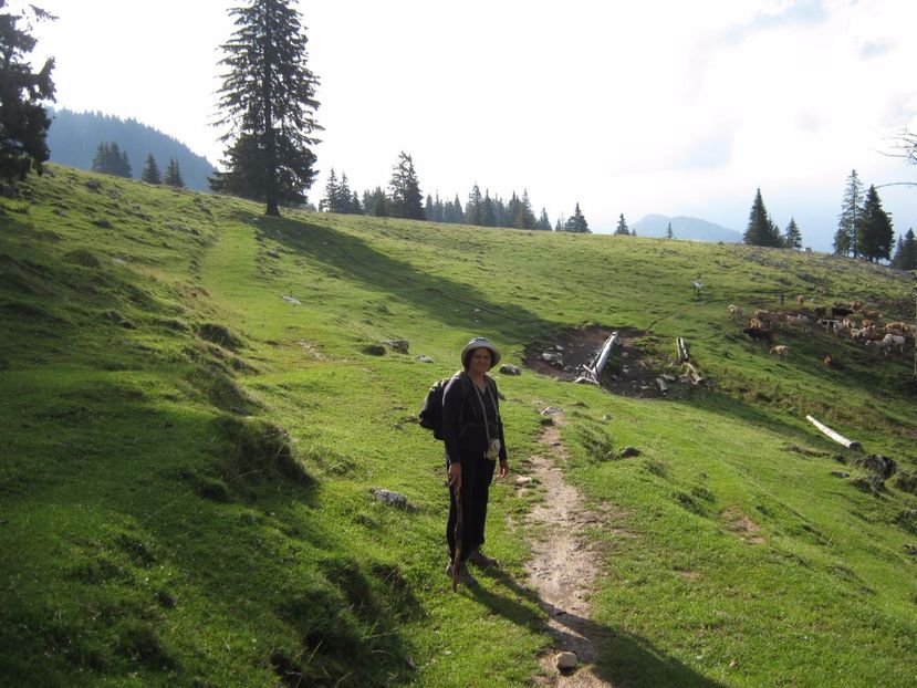  - Parcul National Piatra Craiului