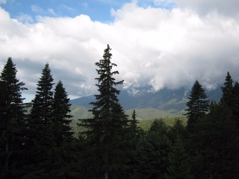  - Parcul National Piatra Craiului