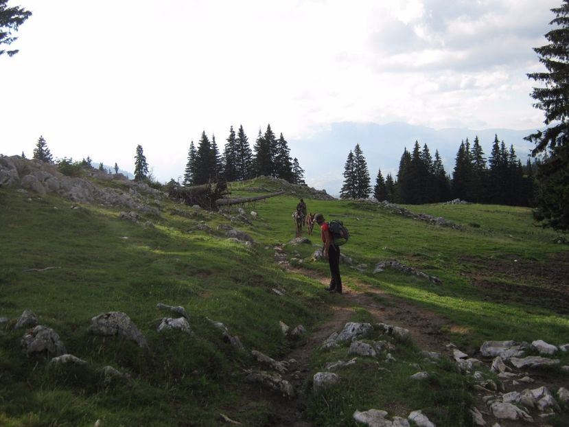  - Parcul National Piatra Craiului