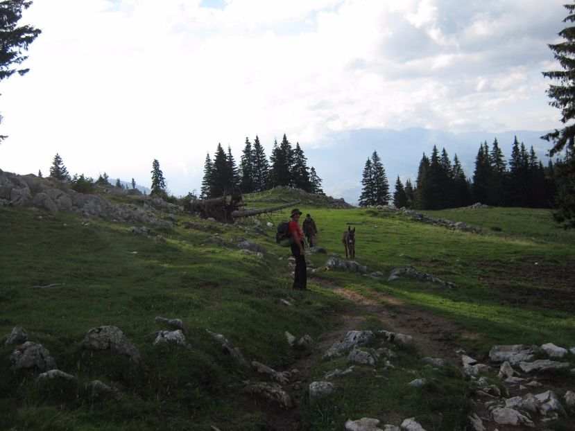  - Parcul National Piatra Craiului