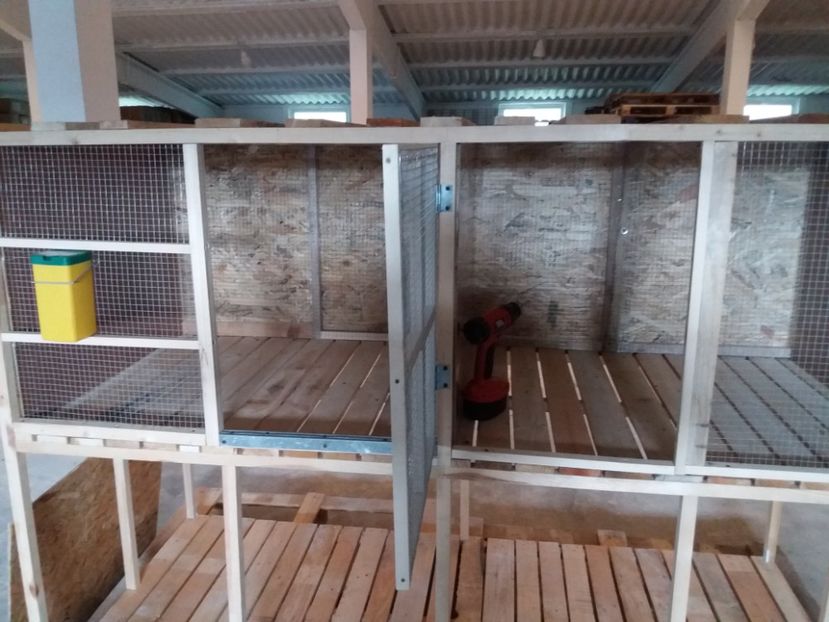  - Custile mele - iepuri