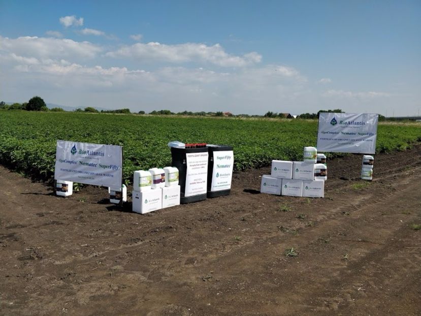  - Ziua Cartofului Brasov 2017