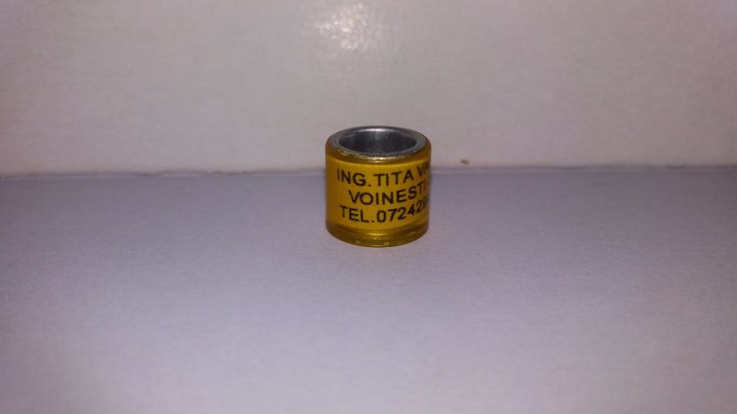  - Inele Crescatori - 25 piese