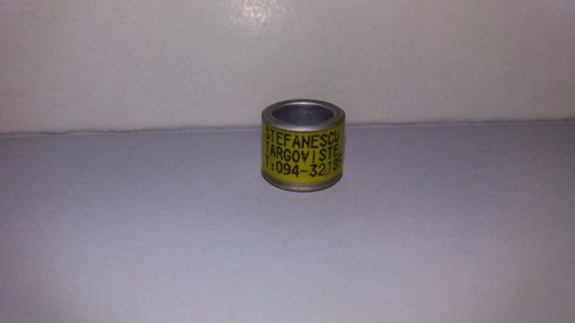  - Inele Crescatori - 25 piese