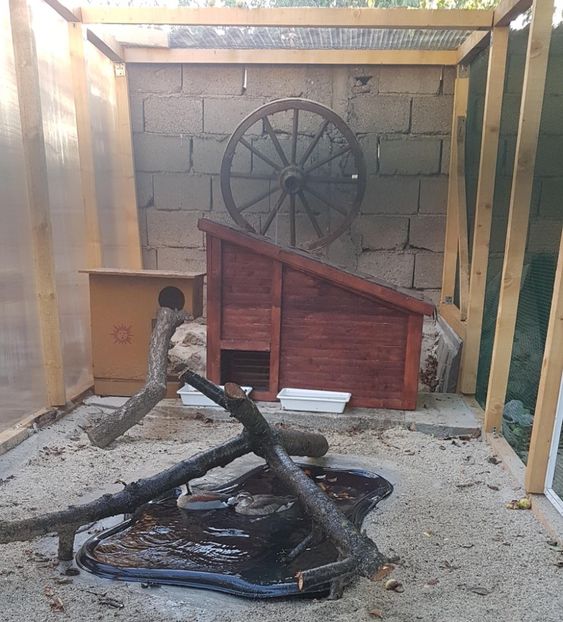 ACUM SUNTEM LINISTITI...MICUL ATLANTIC - RATE EXOTICE