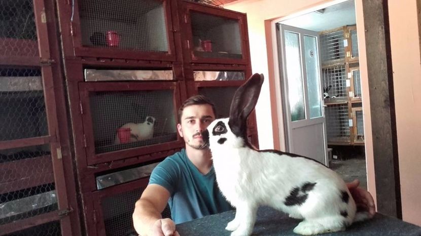  - Noul adapost in lucru