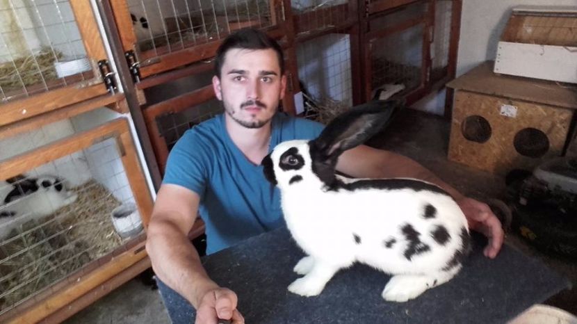  - Noul adapost in lucru