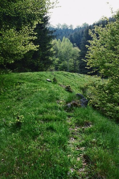  - Photo 08 - Vara