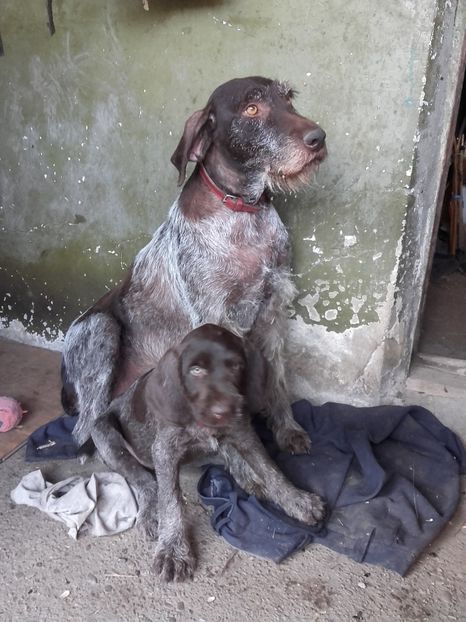 Tyna & Bety - CONTACT