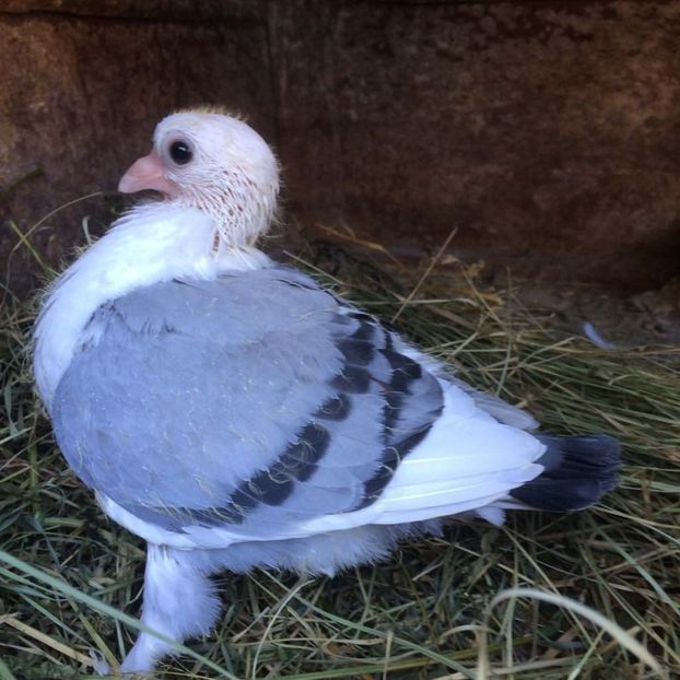 IMG-20170615-WA0007 - 0 CONTACT