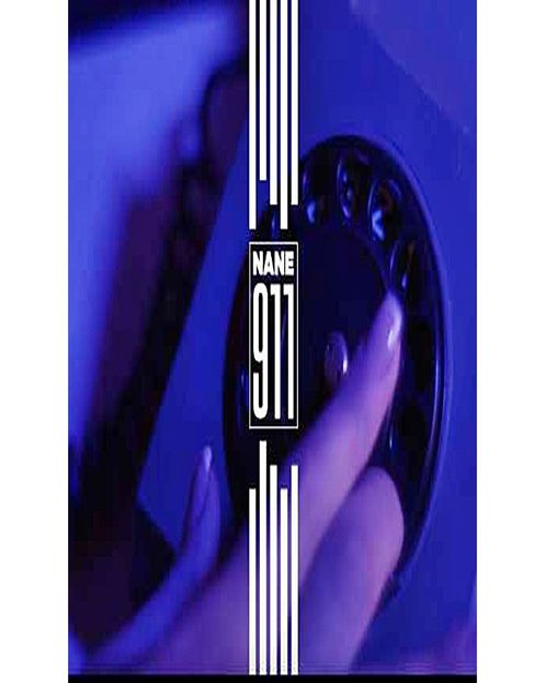 Wanderers favorite song from Nane is "911" - i m drowning in an endless sea