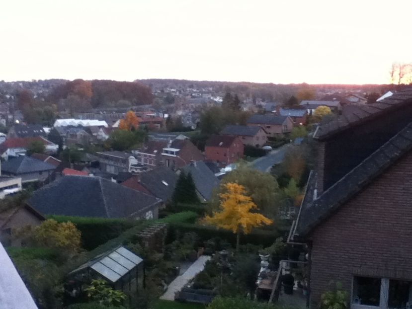  - Belgia 2015