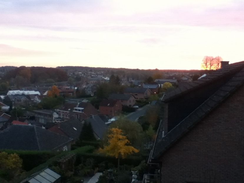  - Belgia 2015