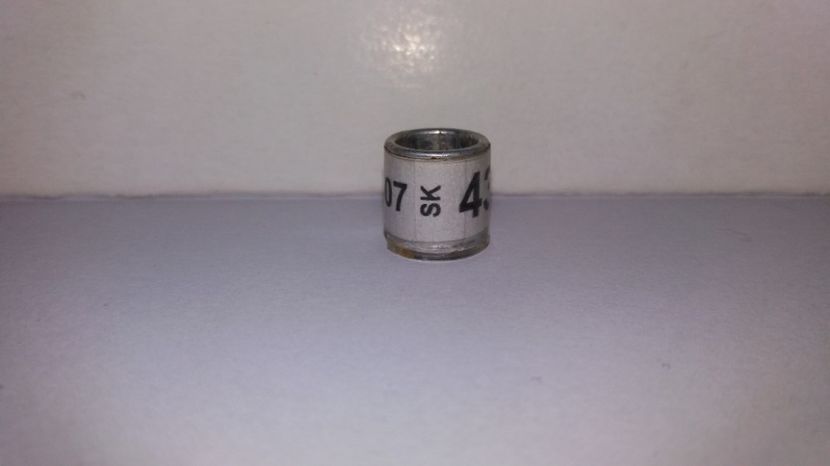 SK 12 - Inele Slovacia - 4 piese