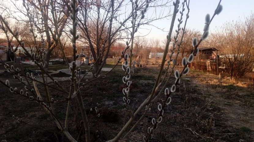  - Gradina Magura -Teleorman 2017