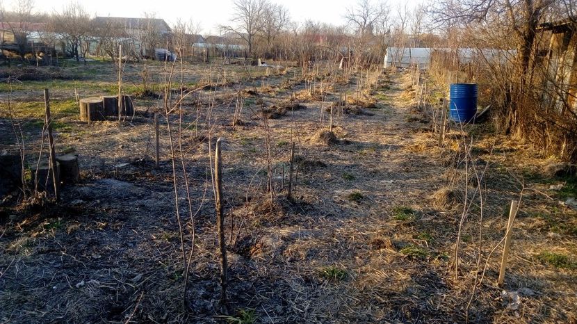  - Gradina Magura -Teleorman 2017