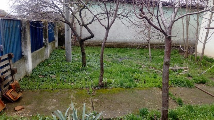  - Gradina Magura -Teleorman 2017