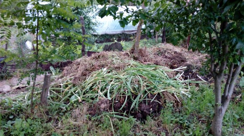  - Gradina Magura -Teleorman 2017