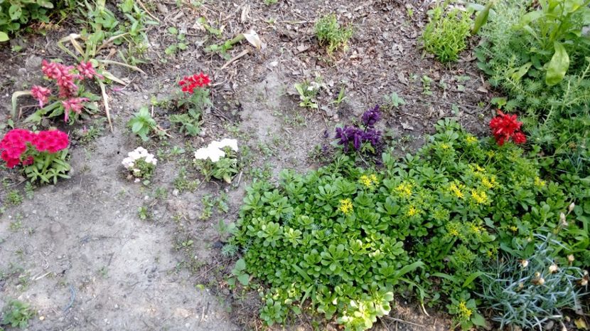  - Gradina Magura -Teleorman 2017