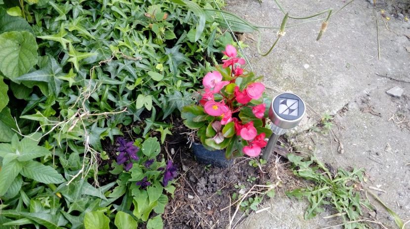  - Gradina Magura -Teleorman 2017