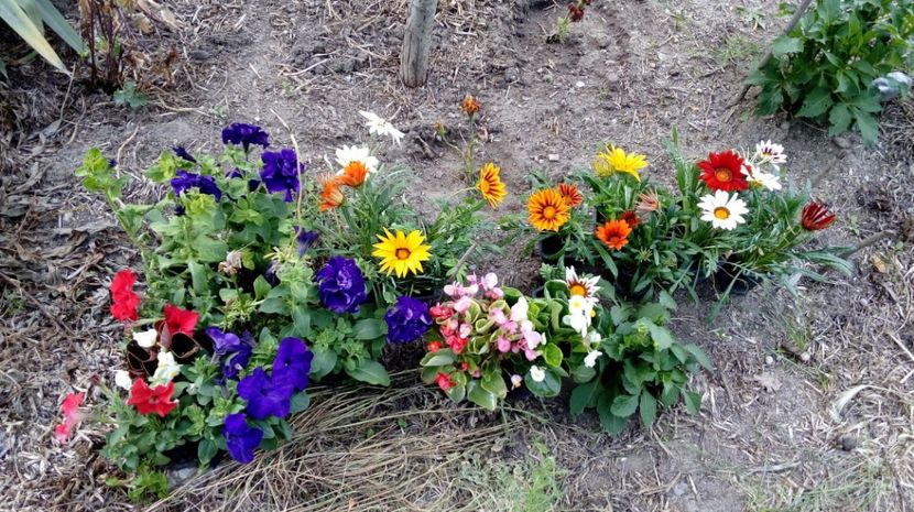  - Gradina Magura -Teleorman 2017