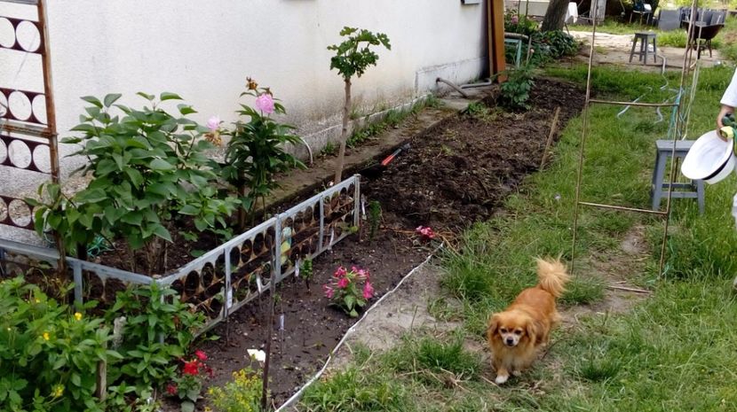  - Gradina Magura -Teleorman 2017