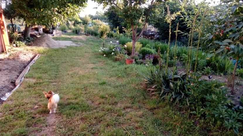  - Gradina Magura -Teleorman 2017