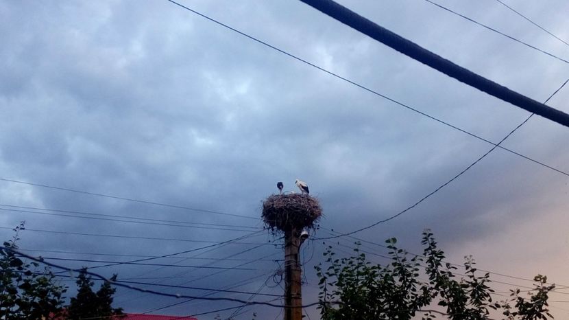  - Gradina Magura -Teleorman 2017