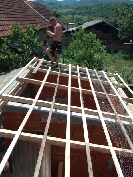  - VOLIERA MEA MODESTA