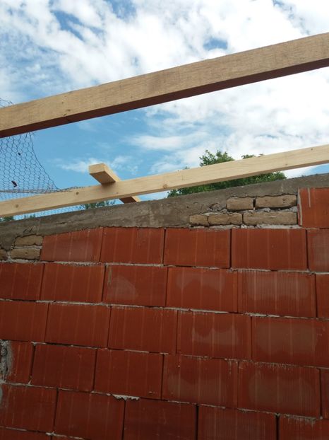  - VOLIERA MEA MODESTA