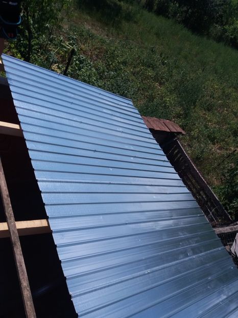  - VOLIERA MEA MODESTA