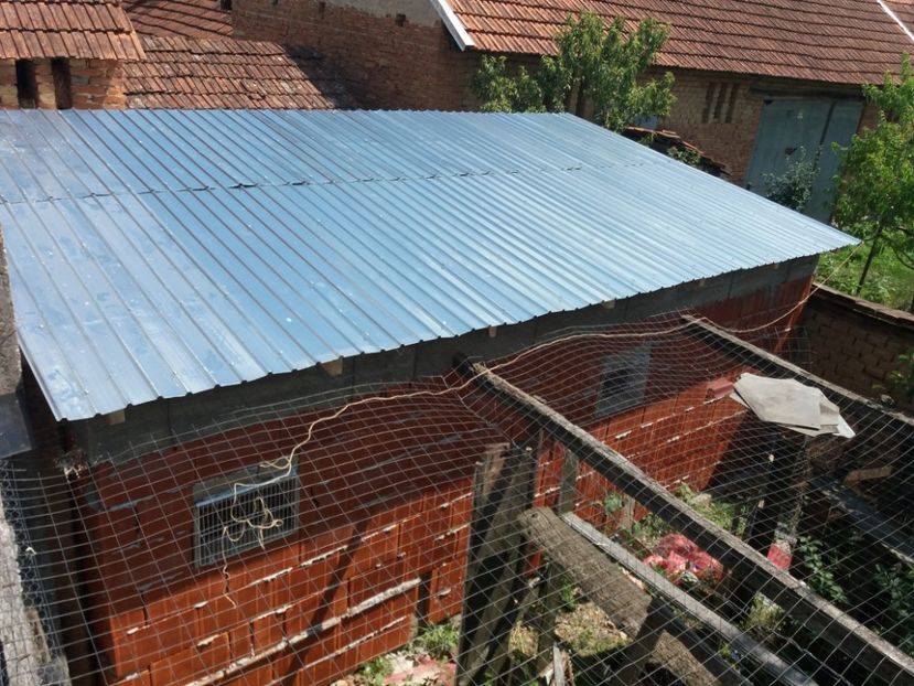  - VOLIERA MEA MODESTA