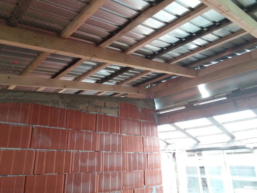 Gata si acoperisul - VOLIERA MEA MODESTA